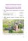 Человек и мир: рабочая тетрадь. 3 класс
