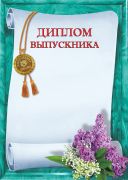 Диплом выпускника школы.
